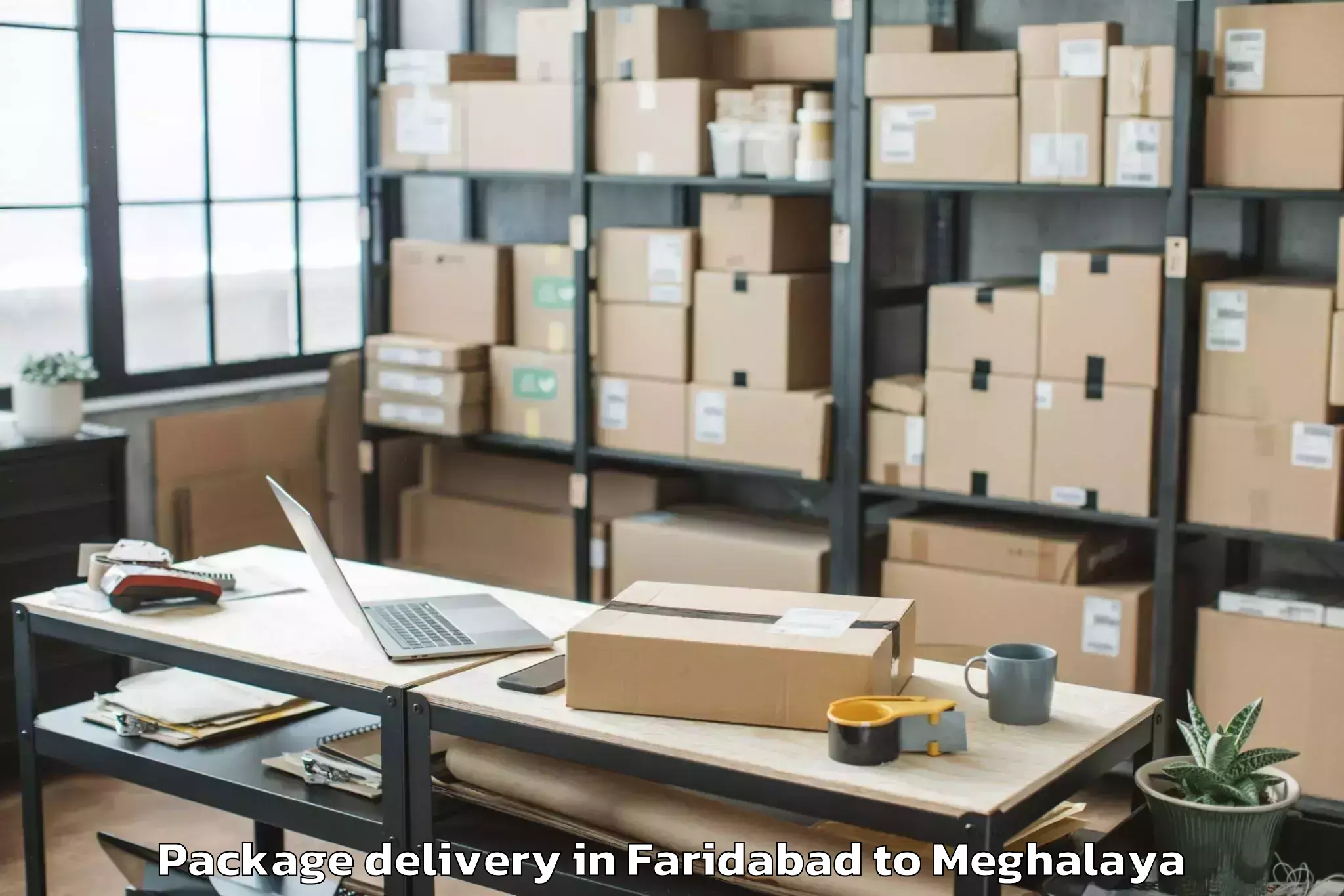 Leading Faridabad to Mawsynram Package Delivery Provider